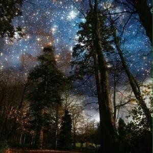 Meet your Posher, Hami